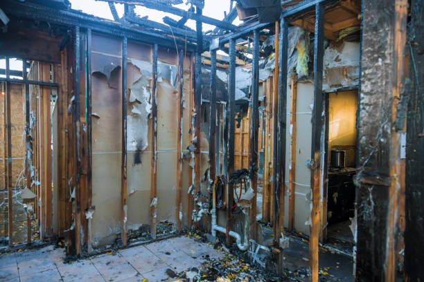 Professional Fire Damage Removal technician working in Palmetto, FL