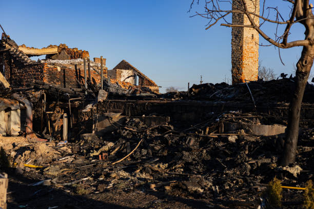 Reliable Fire Damage Removal contractor in Palmetto, FL by Fire Damage Doption