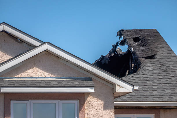 Top rated local Fire Damage Removal specialists in Palmetto, FL